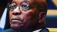 Fresh details emerge regarding Jacob Zuma's Nkandla scandal