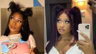 Beauty and brains: Megan Thee Stallion is going to graduate from college
