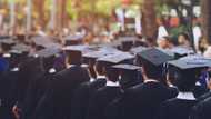Poll: Almost 80% of Briefly readers believe politicians need qualifications
