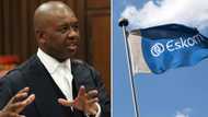 Loadshedding disrupts Advocate Dali Mpofu's argument amid Jacob Zuma and Cyril Ramaphosa's case