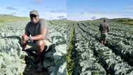 SA man flexes farming skills: "It’s the quality of the produce for me"