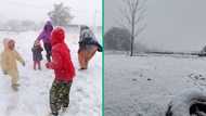 Snowfall in South Africa: Mzansi surprised as numerous provinces experience unexpected weather