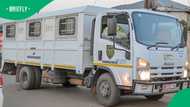 Over 50 undocumented immigrants arrested in Limpopo during Operation Shanela