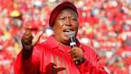 Julius Malema says EFF’s national shutdown will be peaceful, Mzansi disagrees: "This will be a first"