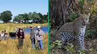 South African tourists bravely face hungry leopard, defend themselves with bare hands