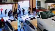 Local men go wild inside car shop, trash number of luxury cars