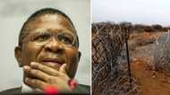 Mbabula says illegal migrants are a heavy financial burden on SA, citizens weigh in