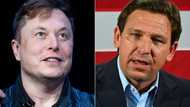 Is Musk's DeSantis show a winning ticket for Twitter?