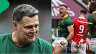 Coach Rassie Erasmus gets second Springboks stint underway with convincing Wales win