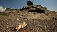 China warns of 'severe threat' to harvest from worst heatwave on record