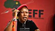 Julius Malema creates Afrikaans lyrics to replace 'Die Stem', Mzansi in stitches: "Baie mooi Suid Afrika"