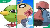 Top 11 ugliest Pokémon ranked: not your typical cuties