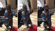 Toddler resurrects the 'Kilimanjaro' dance challenge, TikTok video of his fire moves get Mzansi hyped