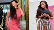 From Inno Morolong telling Makhadzi her music is for taxi ranks to Nota Baloyi VS Emtee: 5 celeb feuds in 2022