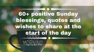 60+ positive Sunday blessings, quotes and wishes to share at the start of the day