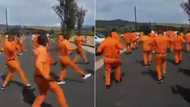 Jerusalema Challenge: SA reacts to inmates participating in movement