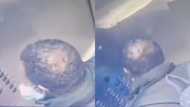 SA Furious over Viral Video of Man Coughing on Elevator Buttons