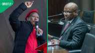 Julius Malema explains absence during General Shadrack Sibiya's testimony, praises Leigh-Ann Mathys