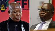 EFF presser: Julius Malema calls for Enoch Godongwana to resign amid sexual assault allegations