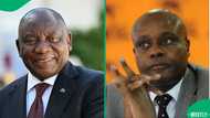 Ramaphosa clears Andrew Chauke after inquiry into political interference claims