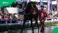 Horse Racing Hit by Corruption Shock as Top Jockeys Fall Guilty in Integrity Scandal