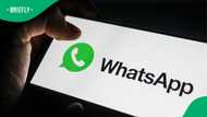 From chats to customisation: WhatsApp’s new paid upgrade lands in Mzansi