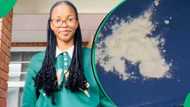 "Steak and kidney scones": SA cracks up over woman's hilarious homemade pie fail in a video