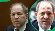 Harvey Weinstein’s net worth today: what is left of his fortune?