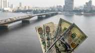 Egypt's economic turmoil squeezes struggling middle class