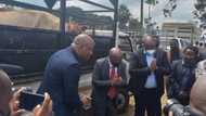 Julius Malema gives 2 cows to the royal palace, SA has mixed thoughts