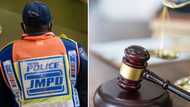 6 JMPD officers found guilty of corruption, public safety MMC says, "Hyenas could not be in charge of sheep"