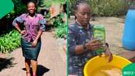 "Xhosas, bathong": Woman cleans chicken with Sunlight liquid before preparing it, SA astonished