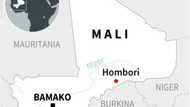 50 civilians die in sweep by Malian and 'foreign' troops: UN 