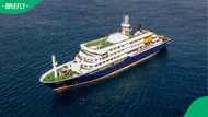 "Stay safe, don’t dock": Social media stunned as video shows inside of hantavirus-hit cruise ship