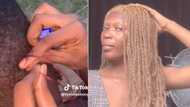 TikTok of braider's grip game on low-cut hair impresses, netizens have jokes: "Plaited her childhood memories"