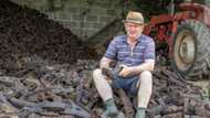 Turf wars stall Ireland's green agenda