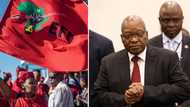 EFF says sending former President Jacob Zuma back to prison serves no purpose, Mzansi agrees