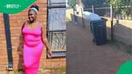 Missing Bacardi artist's body discovered in dustbin, three arrested