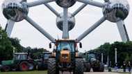 Hardline farmers back in Brussels to protest EU policies