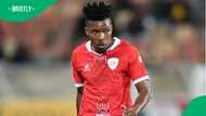 Sekhukhune United accused of lying about Shaune Mogaila’s return to football