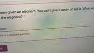 Woman shares the weird question she was asked during a job application, sparks debate on social media