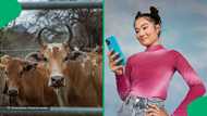 "Living their best lives": Lobola proceedings at res, SA vibes with youthful shenanigans