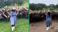 Ugandan woman herding Ankole cattle becomes TikTok sensation with 1 million views