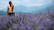 Squeezed out: Bulgaria lavender oil makers fear EU laws