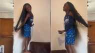 Boy loves Pabi Cooper's 'Wag 'n Bitjie', sings hit song while rocking braided wig and leaves Mzansi entertained