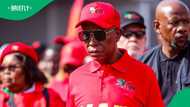 EFF president Julius Malema wants to expropriate the land of the 49 Afrikaners
