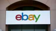 US sues eBay for selling products that harm environment