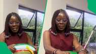 "Sending you jealousy": Woman unboxes bucket of Venda fruit, TikTok viewers envy yummy treat