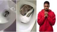 Mystery viral photos capture grey snake in homeowner's toilet; netizens react with fear