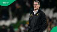 Rassie Erasmus stirs emotion with powerful Springboks tribute video